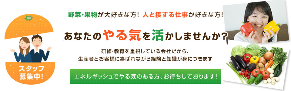 野菜・果物が大好きな方！ 人と接する仕事が好きな方！あなたのやる気を活かしませんか？