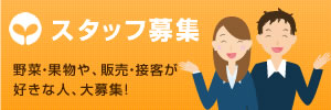採用情報、スタッフ募集